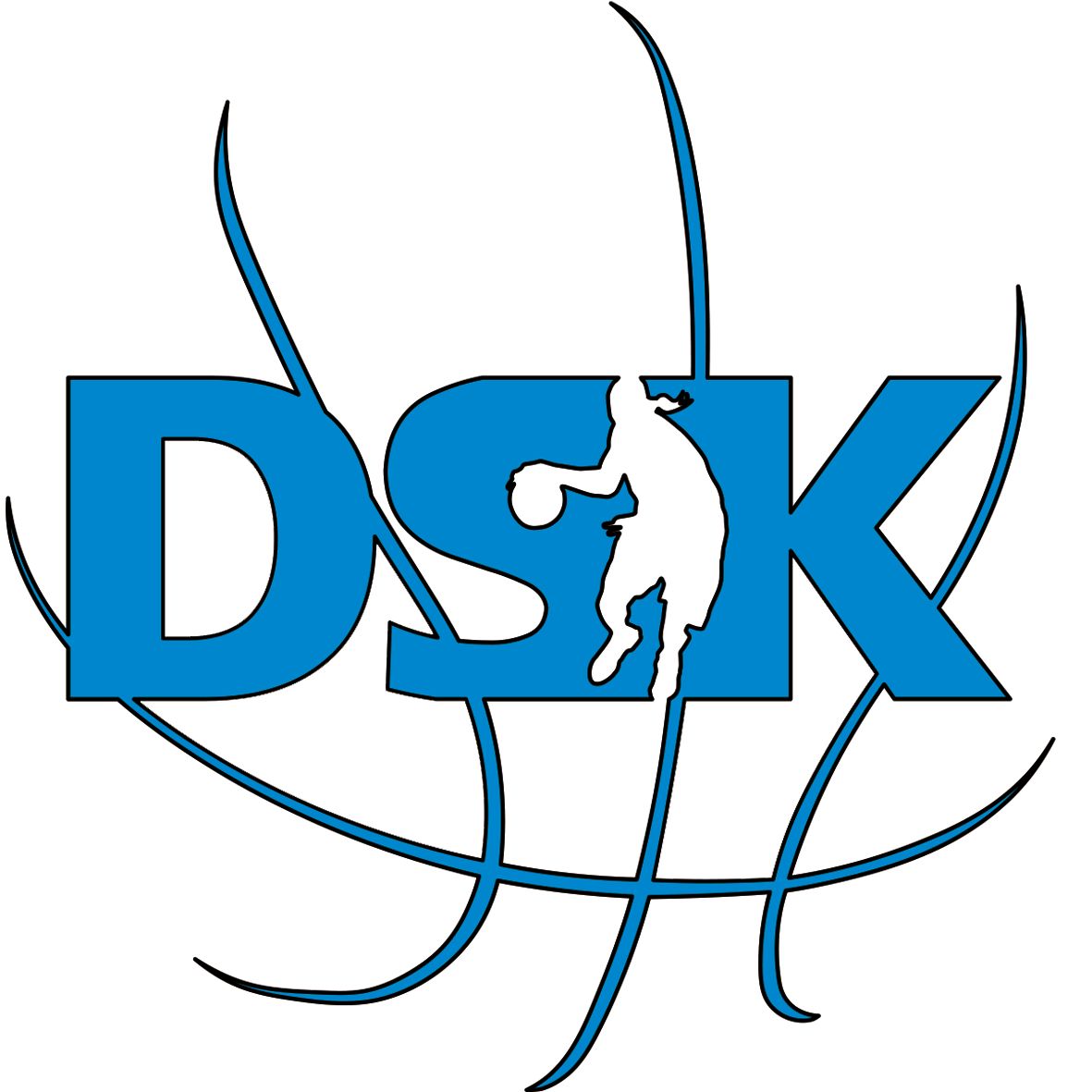logo DSK Basketball Brandýs